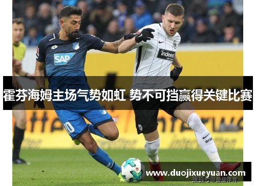 霍芬海姆主场气势如虹 势不可挡赢得关键比赛