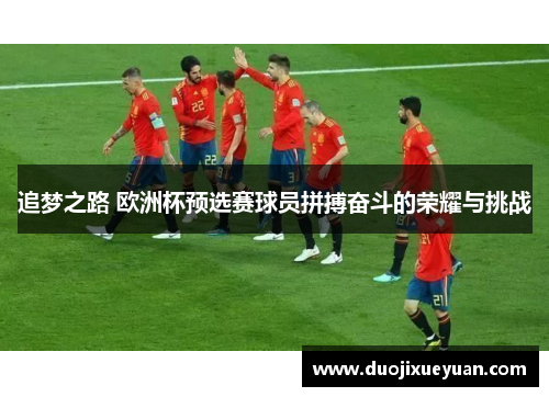 追梦之路 欧洲杯预选赛球员拼搏奋斗的荣耀与挑战