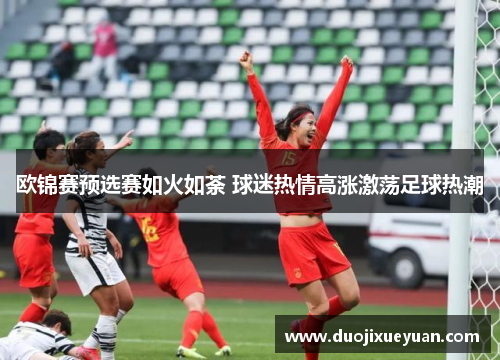 欧锦赛预选赛如火如荼 球迷热情高涨激荡足球热潮