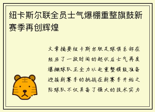 纽卡斯尔联全员士气爆棚重整旗鼓新赛季再创辉煌