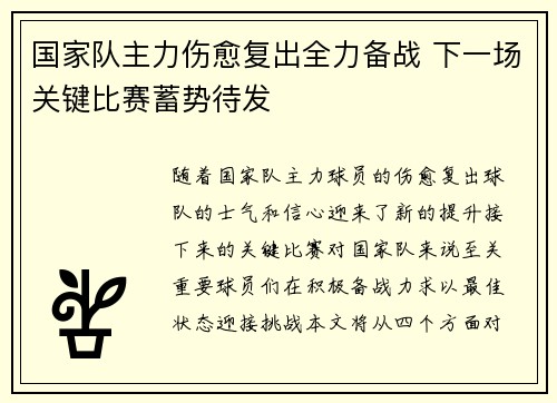 国家队主力伤愈复出全力备战 下一场关键比赛蓄势待发